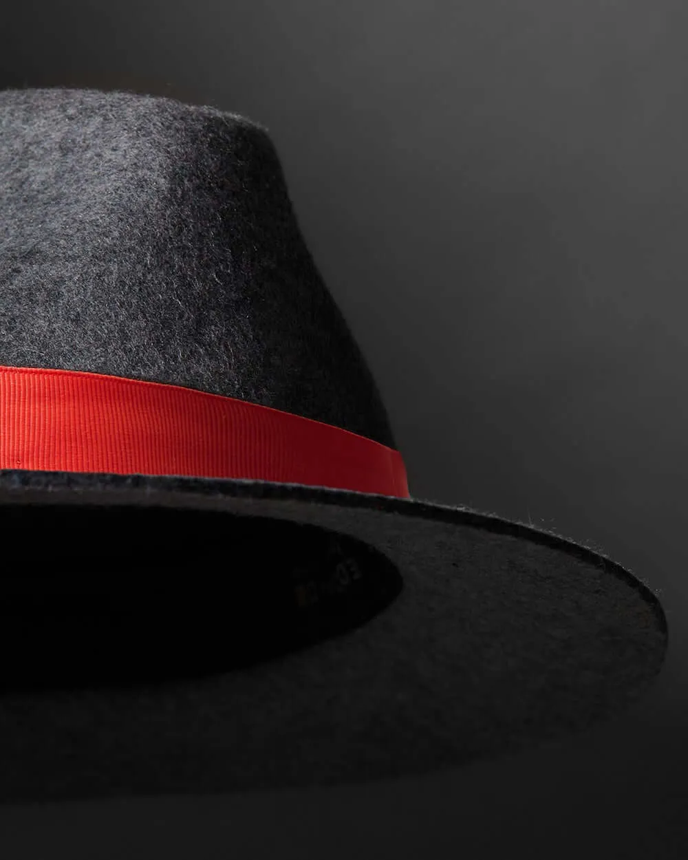 EdW Trimmed Felted Wool Fedora