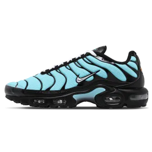 Nike Air Max Plus 'Aqua Silver'